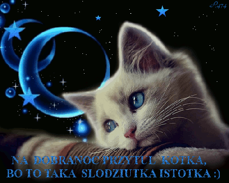 Na dobranoc przytul kotka